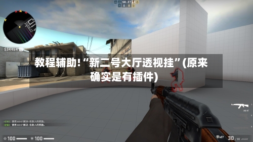 教程辅助!“新二号大厅透视挂	”(原来确实是有插件)-第3张图片