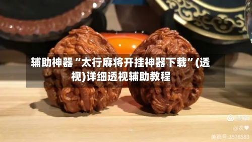 辅助神器“太行麻将开挂神器下载”(透视)详细透视辅助教程-第3张图片