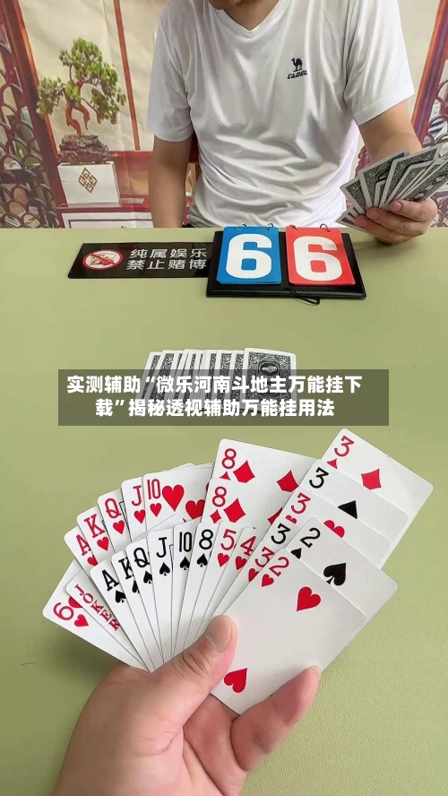 实测辅助“微乐河南斗地主万能挂下载”揭秘透视辅助万能挂用法-第3张图片