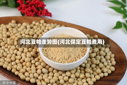 河北豆粕走势图(河北保定豆粕费用)