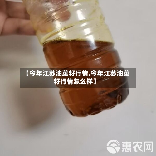 【今年江苏油菜籽行情,今年江苏油菜籽行情怎么样】