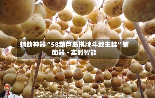 辅助神器“58葫芦岛棋牌斗地主挂”辅助器 - 实时智能-第2张图片