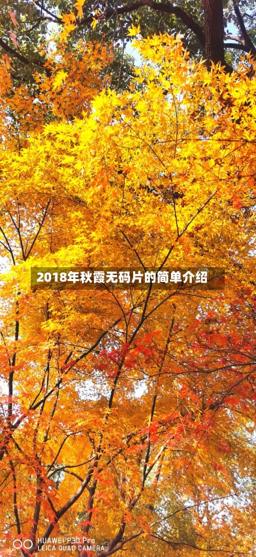 2018年秋霞无码片的简单介绍-第3张图片