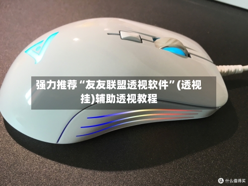 强力推荐“友友联盟透视软件”(透视挂)辅助透视教程-第2张图片