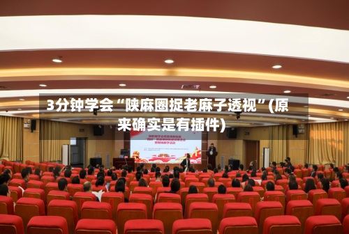 3分钟学会“陕麻圈捉老麻子透视”(原来确实是有插件)-第2张图片