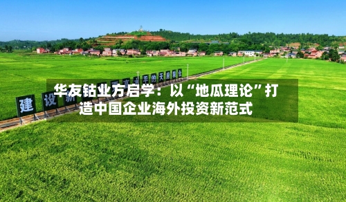 华友钴业方启学：以“地瓜理论”打造中国企业海外投资新范式-第2张图片