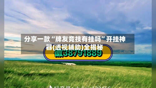 分享一款“牌友竞技有挂吗”开挂神器{透视辅助}全揭秘