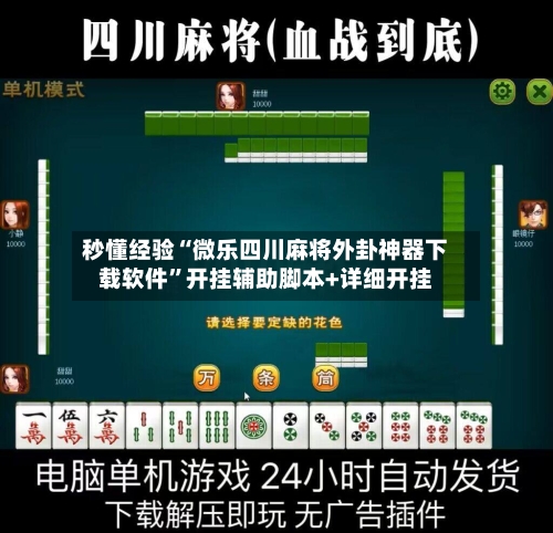 秒懂经验“微乐四川麻将外卦神器下载软件”开挂辅助脚本+详细开挂-第2张图片