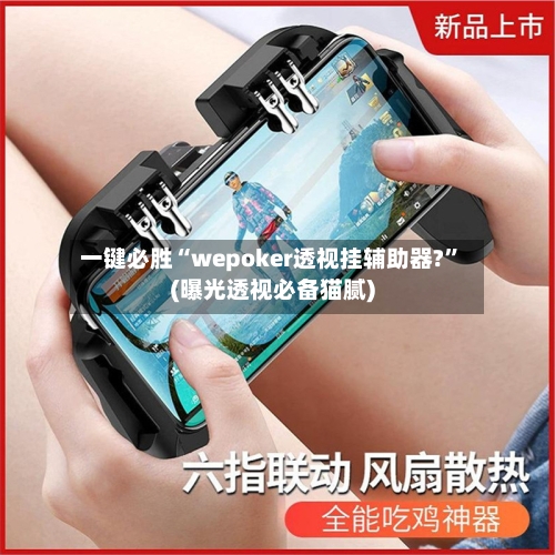 一键必胜“wepoker透视挂辅助器?”(曝光透视必备猫腻)-第3张图片