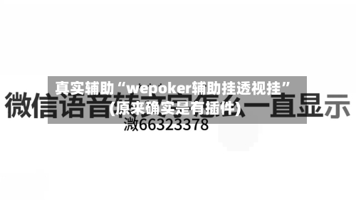 真实辅助“wepoker辅助挂透视挂	”(原来确实是有插件)-第2张图片