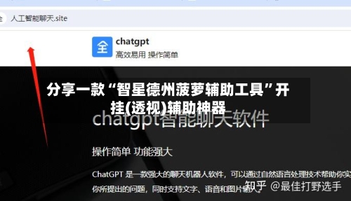 分享一款“智星德州菠萝辅助工具”开挂(透视)辅助神器-第3张图片