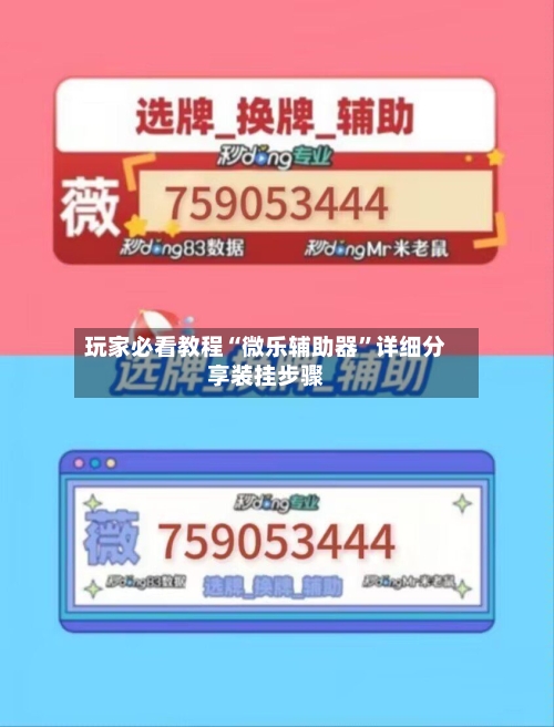 玩家必看教程“微乐辅助器	”详细分享装挂步骤-第2张图片