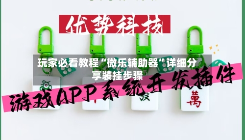 玩家必看教程“微乐辅助器”详细分享装挂步骤-第3张图片