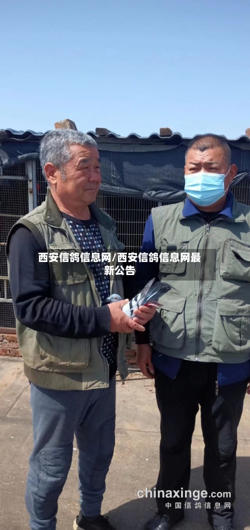 西安信鸽信息网/西安信鸽信息网最新公告-第2张图片