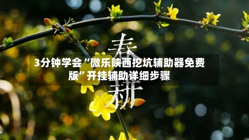 3分钟学会“微乐陕西挖坑辅助器免费版”开挂辅助详细步骤-第3张图片