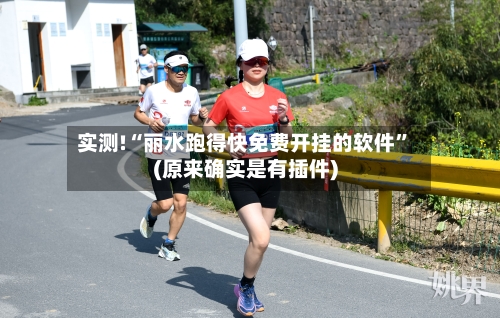 实测!“丽水跑得快免费开挂的软件”(原来确实是有插件)-第2张图片