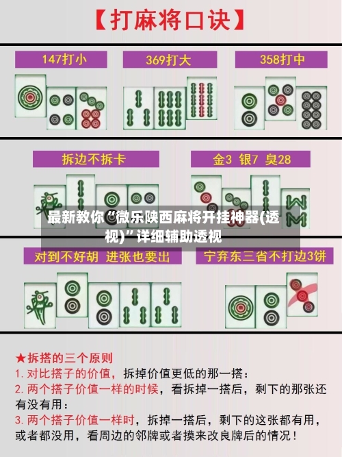 最新教你“微乐陕西麻将开挂神器(透视)”详细辅助透视-第3张图片