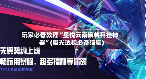 玩家必看教程“星悦云南麻将开挂神器”(曝光透视必备猫腻)-第3张图片