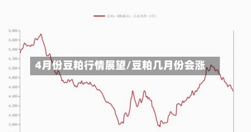4月份豆粕行情展望/豆粕几月份会涨
