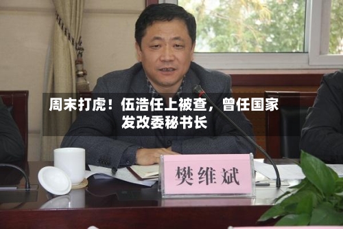 周末打虎！伍浩任上被查	，曾任国家发改委秘书长-第3张图片