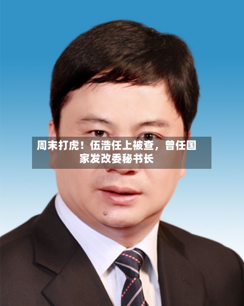 周末打虎！伍浩任上被查，曾任国家发改委秘书长-第2张图片