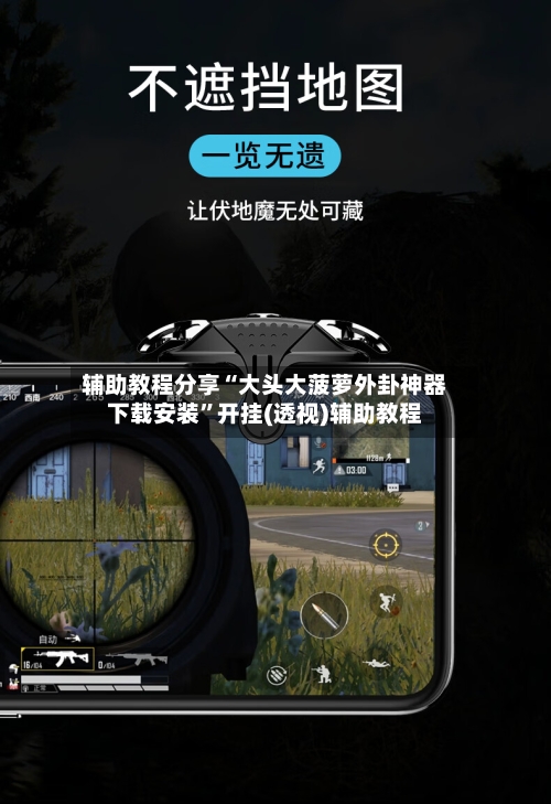 辅助教程分享“大头大菠萝外卦神器下载安装”开挂(透视)辅助教程-第3张图片