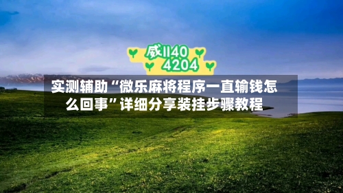 实测辅助“微乐麻将程序一直输钱怎么回事	”详细分享装挂步骤教程-第3张图片