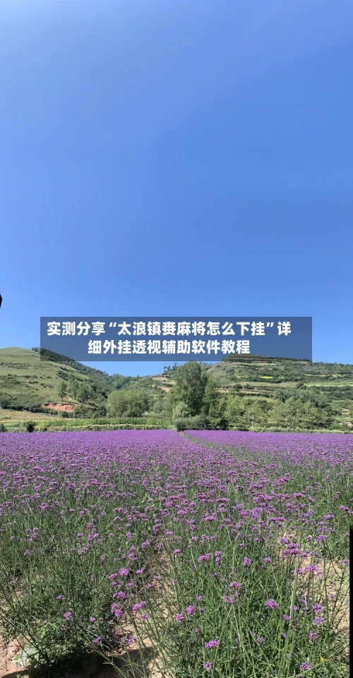 实测分享“太浪镇赉麻将怎么下挂	”详细外挂透视辅助软件教程-第3张图片