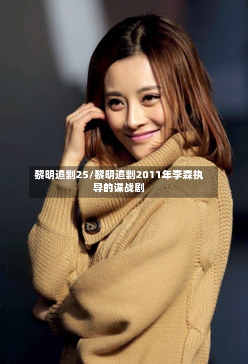 黎明追剿25/黎明追剿2011年李森执导的谍战剧-第3张图片