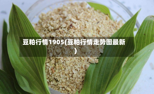 豆粕行情1905(豆粕行情走势图最新)-第3张图片
