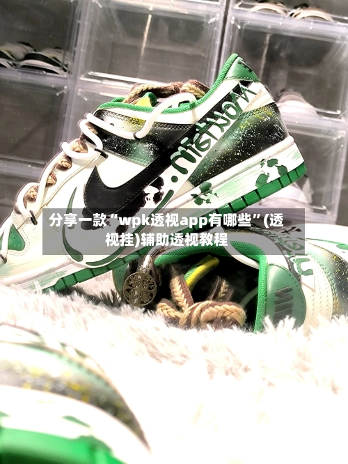 分享一款“wpk透视app有哪些”(透视挂)辅助透视教程-第3张图片