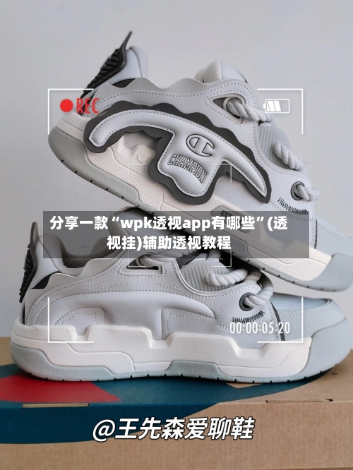 分享一款“wpk透视app有哪些”(透视挂)辅助透视教程