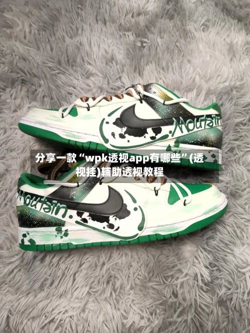 分享一款“wpk透视app有哪些	”(透视挂)辅助透视教程-第2张图片