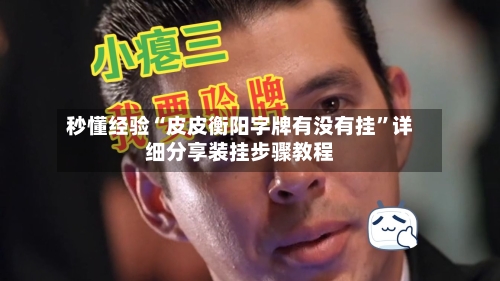 秒懂经验“皮皮衡阳字牌有没有挂”详细分享装挂步骤教程-第3张图片