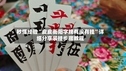 秒懂经验“皮皮衡阳字牌有没有挂”详细分享装挂步骤教程-第2张图片