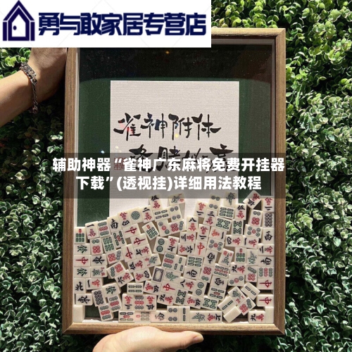 辅助神器“雀神广东麻将免费开挂器下载”(透视挂)详细用法教程-第2张图片