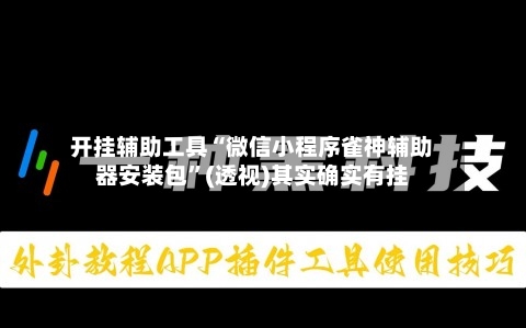 开挂辅助工具“微信小程序雀神辅助器安装包”(透视)其实确实有挂-第2张图片