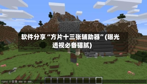 软件分享“方片十三张辅助器”(曝光透视必备猫腻)