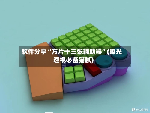 软件分享“方片十三张辅助器	”(曝光透视必备猫腻)-第2张图片