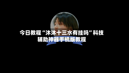 今日教程“沐沐十三水有挂吗”科技辅助神器手机版教程-第2张图片