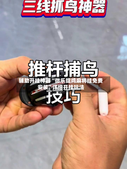 辅助开挂神器“微乐捉鸡麻将挂免费安装”详细开挂玩法-第2张图片