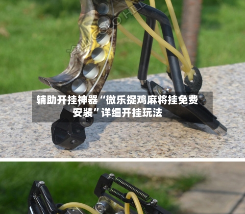 辅助开挂神器“微乐捉鸡麻将挂免费安装	”详细开挂玩法-第3张图片