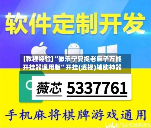 [教程经验]“微乐宁夏捉老麻子万能开挂器通用版”开挂(透视)辅助神器-第2张图片