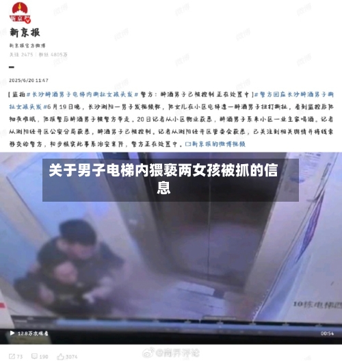 关于男子电梯内猥亵两女孩被抓的信息