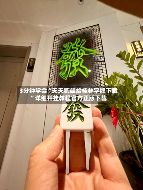 3分钟学会“天天贰柒拾桂林字牌下载	”详细开挂教程官方正版下载-第2张图片