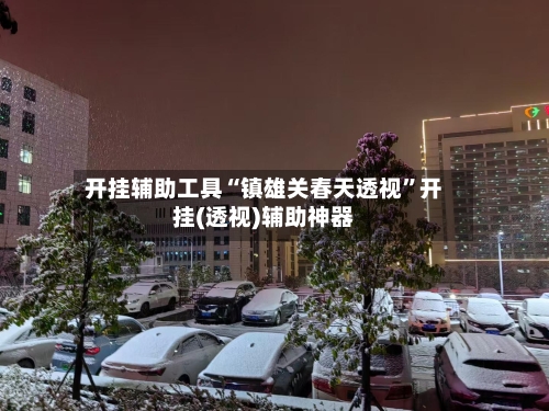 开挂辅助工具“镇雄关春天透视	”开挂(透视)辅助神器-第2张图片