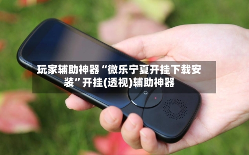 玩家辅助神器“微乐宁夏开挂下载安装”开挂(透视)辅助神器-第2张图片