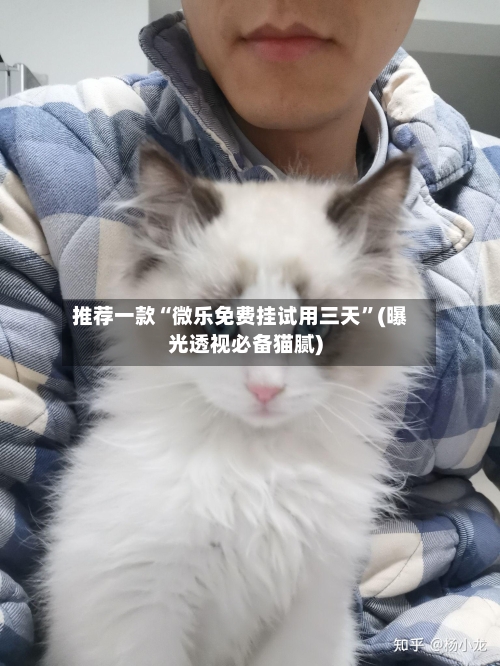 推荐一款“微乐免费挂试用三天”(曝光透视必备猫腻)