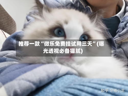 推荐一款“微乐免费挂试用三天”(曝光透视必备猫腻)-第2张图片