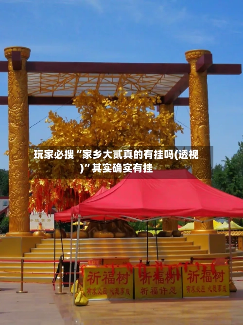 玩家必搜“家乡大贰真的有挂吗(透视)”其实确实有挂-第3张图片